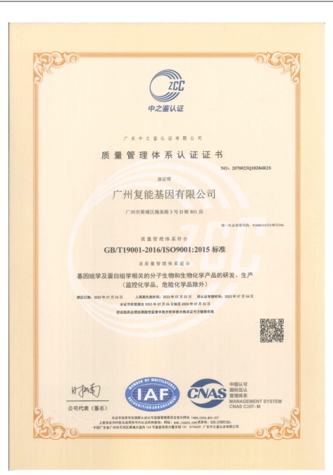 ISO9001资质证书